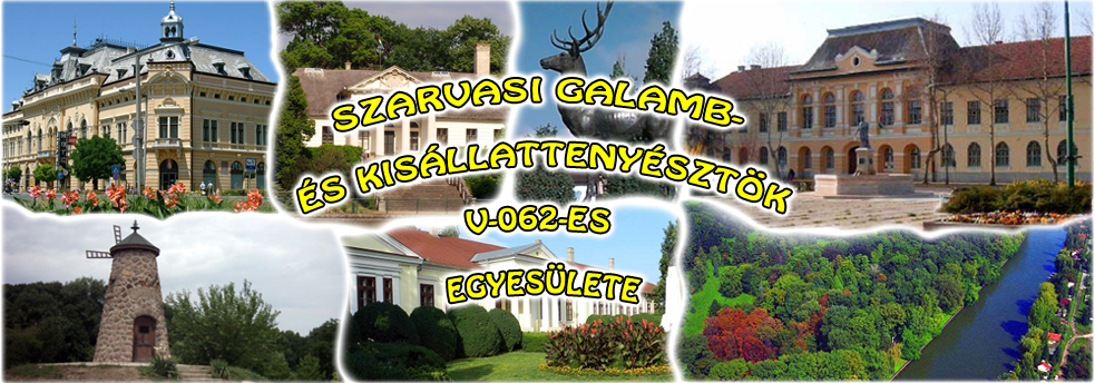 v62-egyesulet